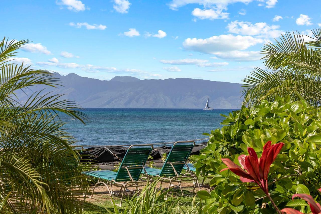 Incredible Beachfront 1Br - Sleeps 4 Awesome Location And In The Center Of Restaurants Many Beaches Golf And More Villa Kahana ภายนอก รูปภาพ